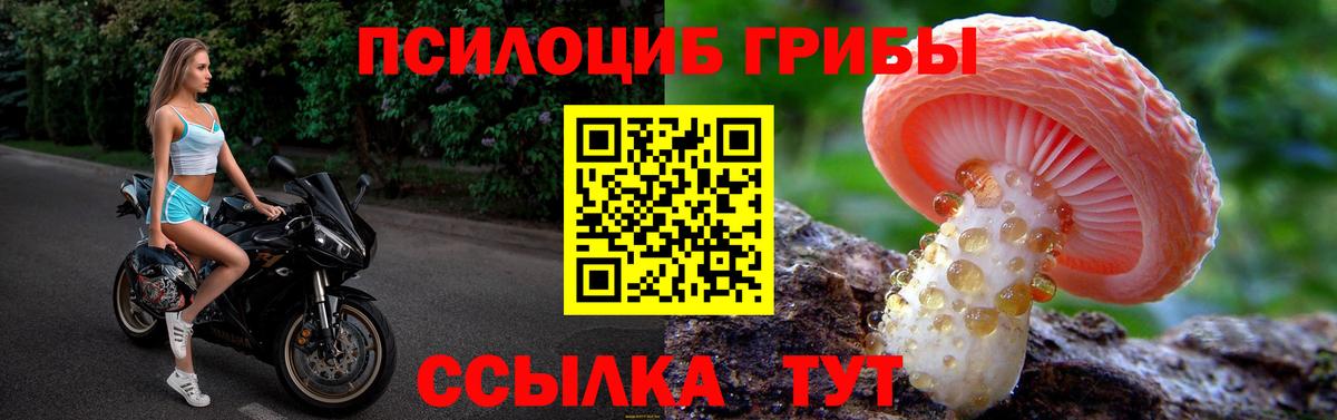 Галлюциногенные грибы Psilocybe Ханты-Мансийск